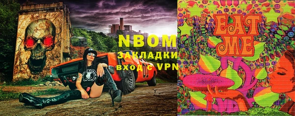 прущие грибы Вязники